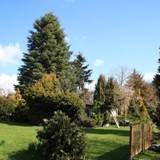 Bl ueber Liegewiese z FH