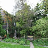 Blick gen Terrasse Grillplatz u rotlaubige Birke 