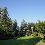 Blick Richtung hintere Zufahrt 