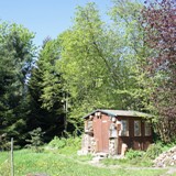 Blick v suedost u Koniferengruppe zum Infostand