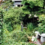 Blick z Haus mit Brunnen und Granitbank