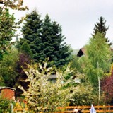 Blick zum Grundstueck v Sued