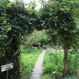 Durchgang an Pergola 