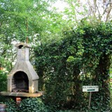 Efeu u Pfaffenhuetchen am Grill