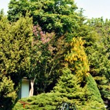 Ensemble vor Gartenhaus