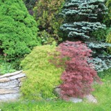 Farbspiele im Fruehling