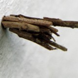 Gespinstsack v Kl Rauchsacktraeger