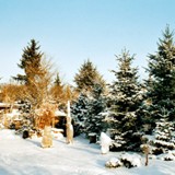 Gruppe bei den Insektenhotels