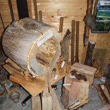 Hohler Stamm mit Hornissennest 