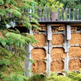 Hotel f Lehmwandbewohner