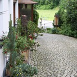 Kuebelpflanzen im Hof Blick z Str