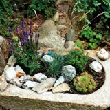 Trogbepflanzung am Teich